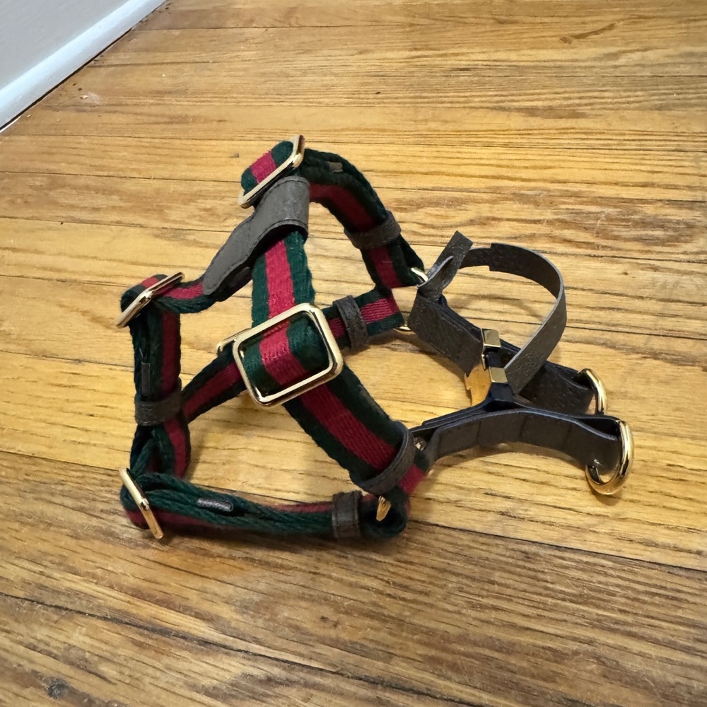 Gucci Small Cat/Dog Harness